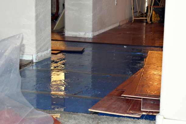 Professional Basement Flood Cleanup technician working in Evansville, WI